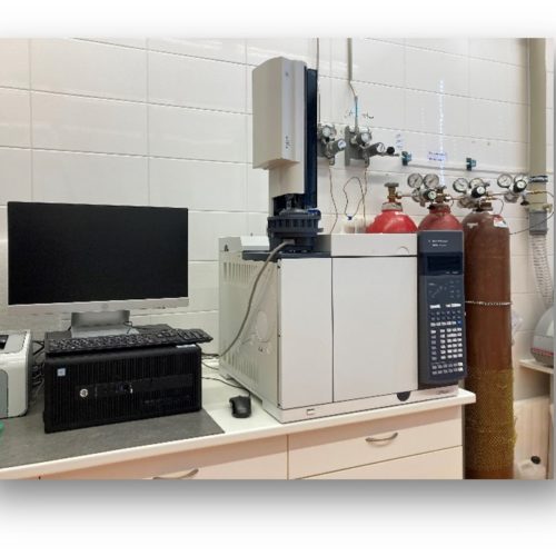 Gas chromatography GC 7890 (Agilent)