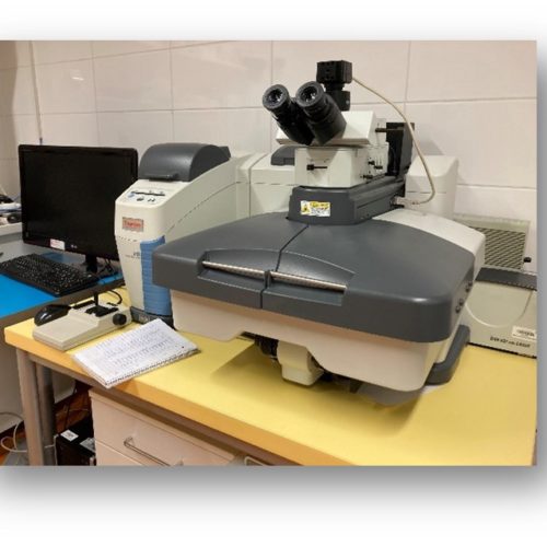 DXR Raman Microscope (Thermo Scientific)